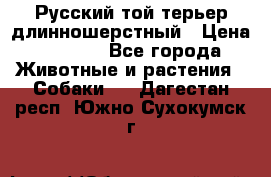 Русский той-терьер длинношерстный › Цена ­ 7 000 - Все города Животные и растения » Собаки   . Дагестан респ.,Южно-Сухокумск г.